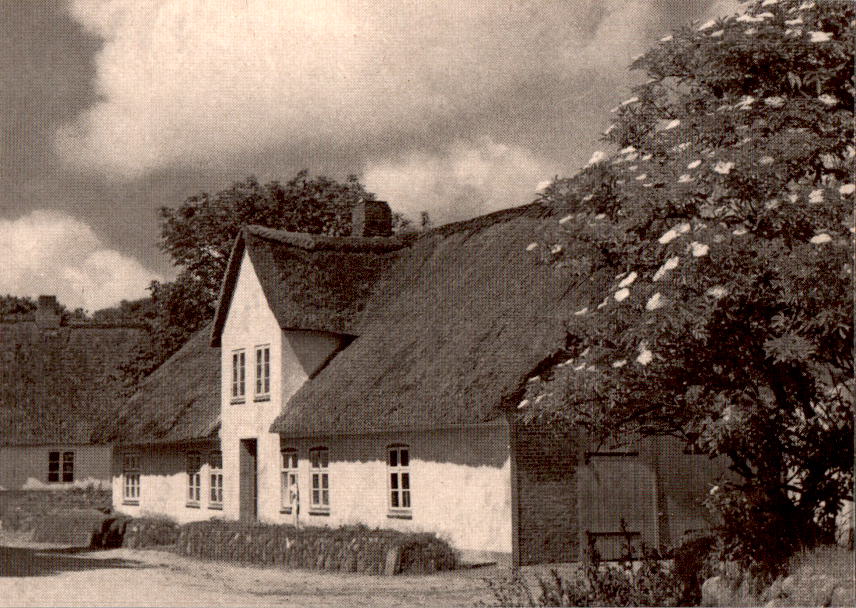 altes friesenhaus, sylt