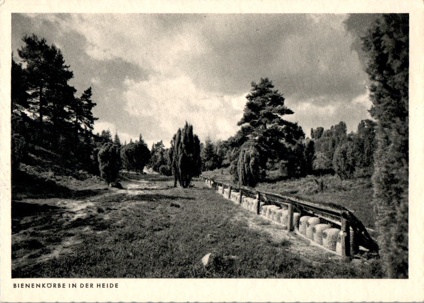 bienenkörbe in der heide